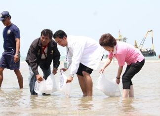 Mayor Itthiphol Kunplome and city officials symbolically release fish and shrimp to generate interest in the project to restore the area’s natural resources.